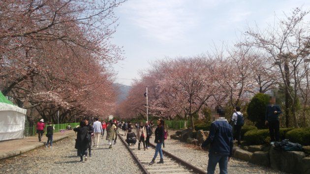 線路で撮影を楽しむ人々